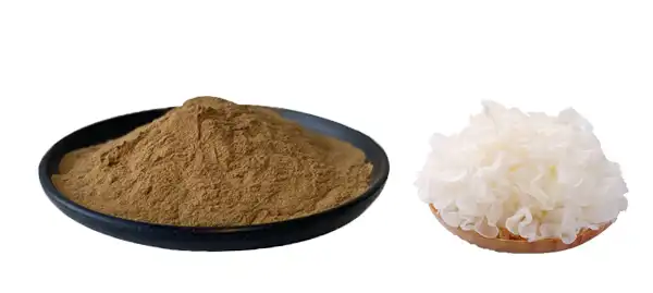 Tremella Fuciformis Extract.jpg